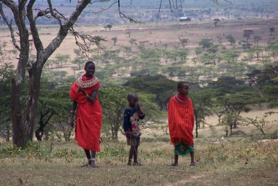 Samburu-brn a leita a geitunum snum.