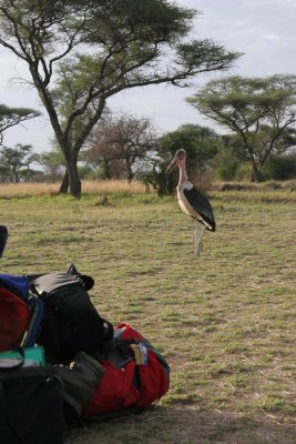 Tanzania