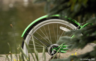 Lime green bike