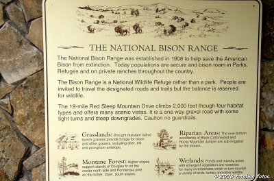 National Bison Range - Montana 2006