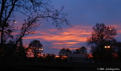 Sunrise over Alton Baker Park