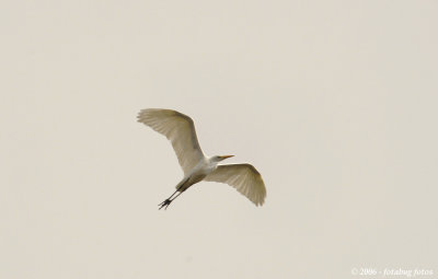 D2x2006-12-01_133.jpg