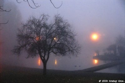 A very foggy morning