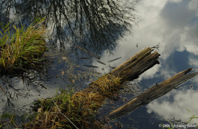 Sky Blue Pond