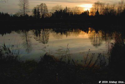Morning light at Delta Ponds