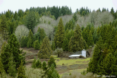 Farm near Unity Bridge