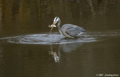 Just caught breakfast