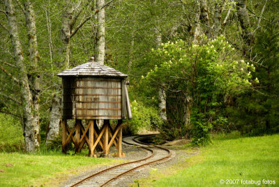 Water Tower on the Meadows & Lake Kathleen Railroad