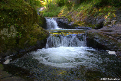 Sweet Creek Falls