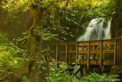 Majestic Falls viewpoint