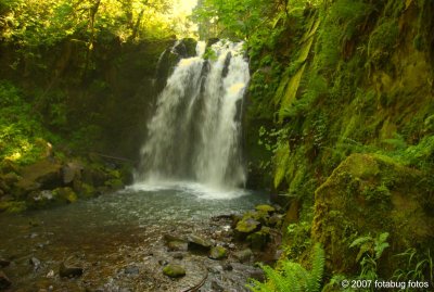 Beautiful Majestic Falls