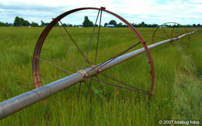 Sprinkler wheel