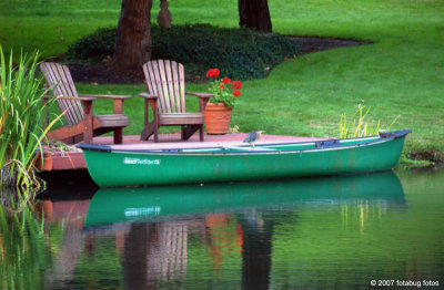Boat and little Green Heron