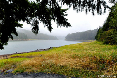 Rainy Day at Fall Creek Lake