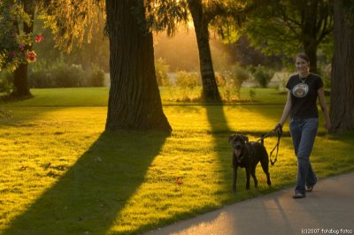 Beautiful evening for a walk