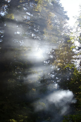 San Josef Trailhead Campsite