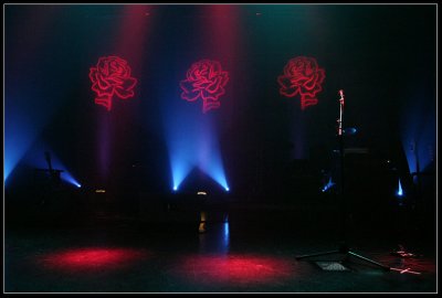 IMG_7773.jpg
