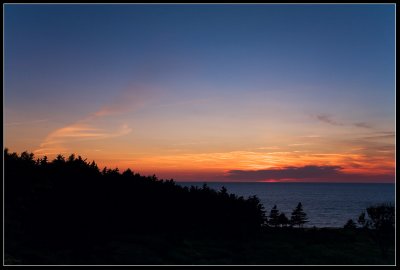 IMG_1981.jpg
