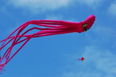 A flying octopus