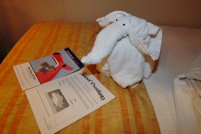 The towel animal - elephant