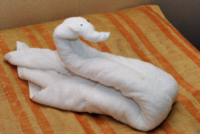 A towel animal - Swan