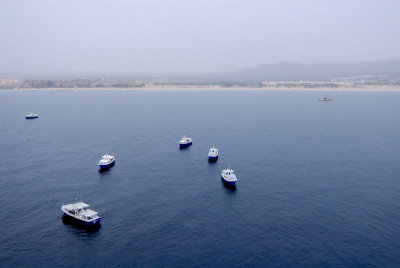 Tenders waiting to transport between ship and port