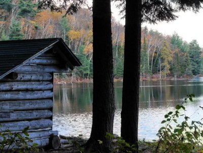 leanto-750_DSC08528.jpg
