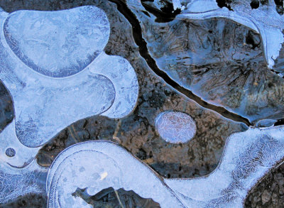ice2-750_DSC08728.jpg