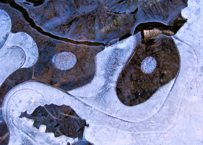 ice_face-750_DSC08729.jpg