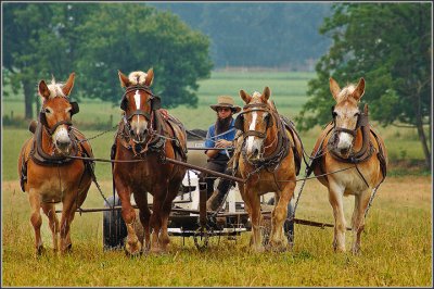 Hommage aux Amish (2007)