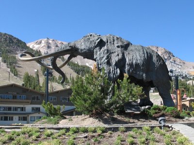 Full Mammoth View