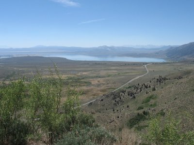 Mono Lake View