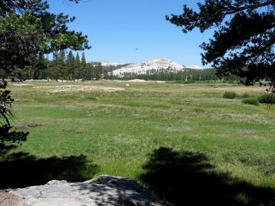 Meadow and Granite Dome