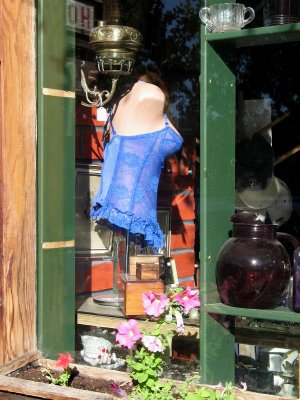 The Other Window
