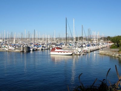 The Marina