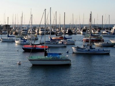 A Selection of Sailboats