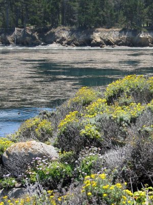 Lagoon in the Cove of Seascape No. 1