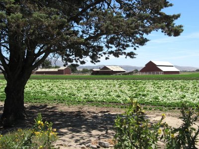 View of a Farm Next to the Mission