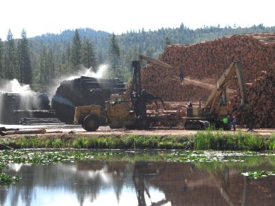 Stacking Logs at a Sawmill in Weaverville