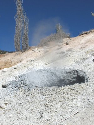 Bubbling Mud Pot, on the Loop Road