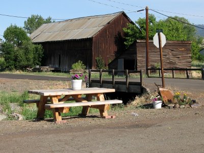 A Table with More Flowers