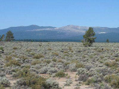 Distant Summits in the Modoc National Forest