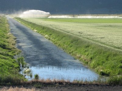 Irrigation Canal and Sray Line