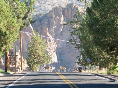 Coming up to Smith Rock State Park Entrance