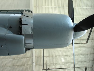 Showing the Close Cowling on the 36 Cylinders