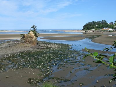 Siletz Bay Estuary Vicinity, near Lincoln City