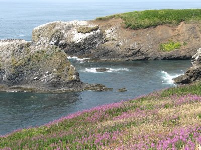 The Yaquina Headland