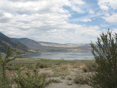 A Lake Near Camas Valley