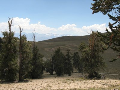View of the Sierra Nevada to the West