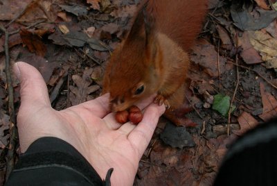 DSCN6129.JPG